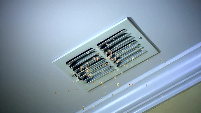 Best Home Air Vent Cleaning  in Donalsonville, GA