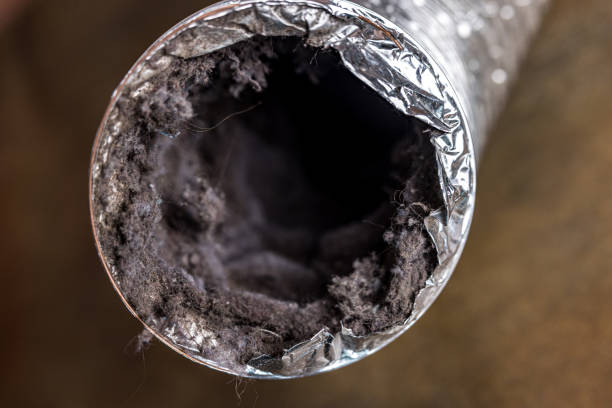 Best Air Duct Sanitizing Services  in Donalsonville, GA