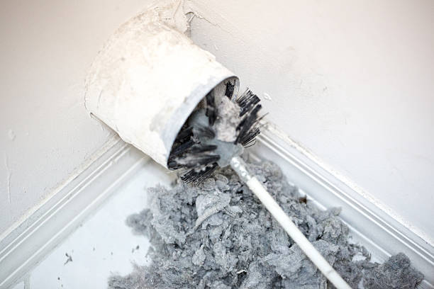 Best Professional Duct Cleaning Services  in Donalsonville, GA